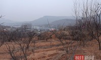 网红“管管”自杀离世：生命最后一天仍在寻找网暴者